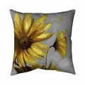 Begin Home Decor 20 x 20 in. Mountain Arnica Flowers-Double Sided Print Indoor Pillow 5541-2020-FL1